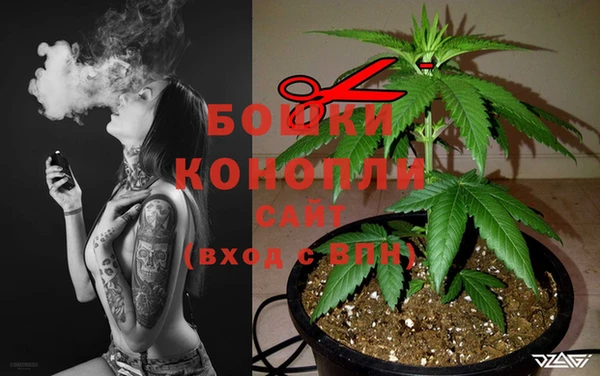 не бодяженный Новодвинск