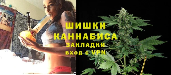 не бодяженный Новодвинск