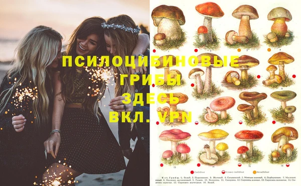 не бодяженный Новодвинск