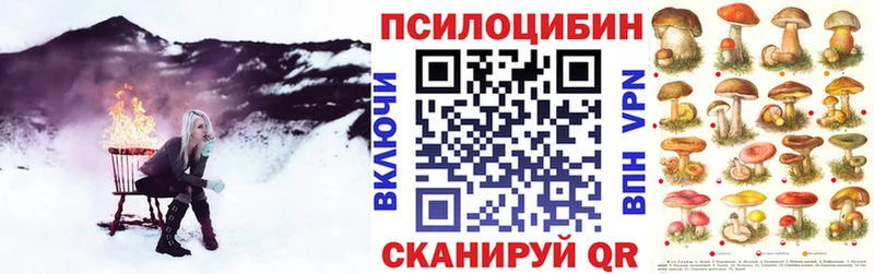 KRAKEN онион  Поворино  Галлюциногенные грибы Magic Shrooms  где можно купить  